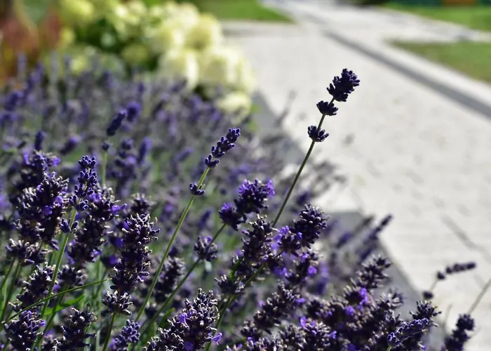 Blask Latarnl * Niechorze